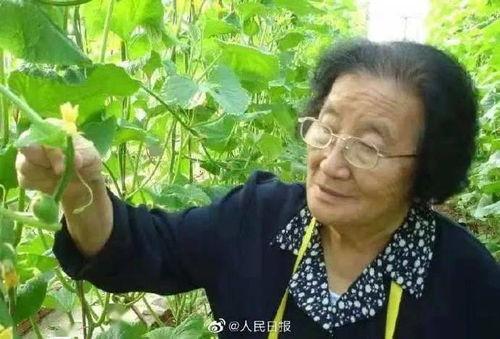 游戏发行人娱乐圈吃瓜,揭秘游戏发行人背后的神秘瓜界